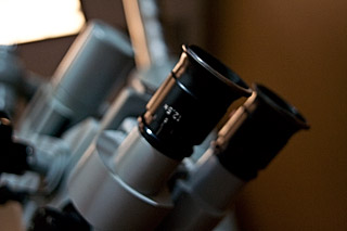 A microscope at ENTSOA